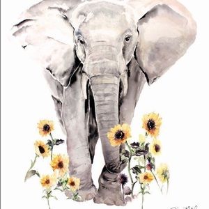 Meet your Posher, Zuzanna